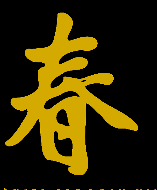 In der Kungfufabrik trainieren Kinder ab 4 Jahren VT. Ving Tsun Kung Fu stärkt das Selbstvertrauen und die Selbstsicherheit der Jüngsten